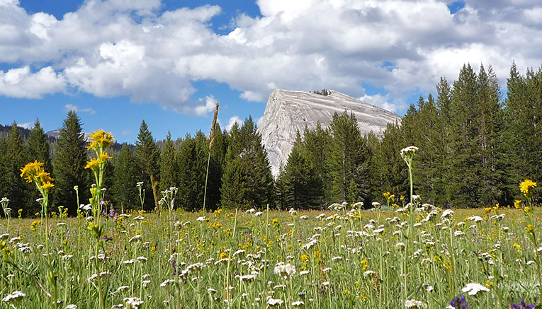 Myoif-yosemite-multisport-8